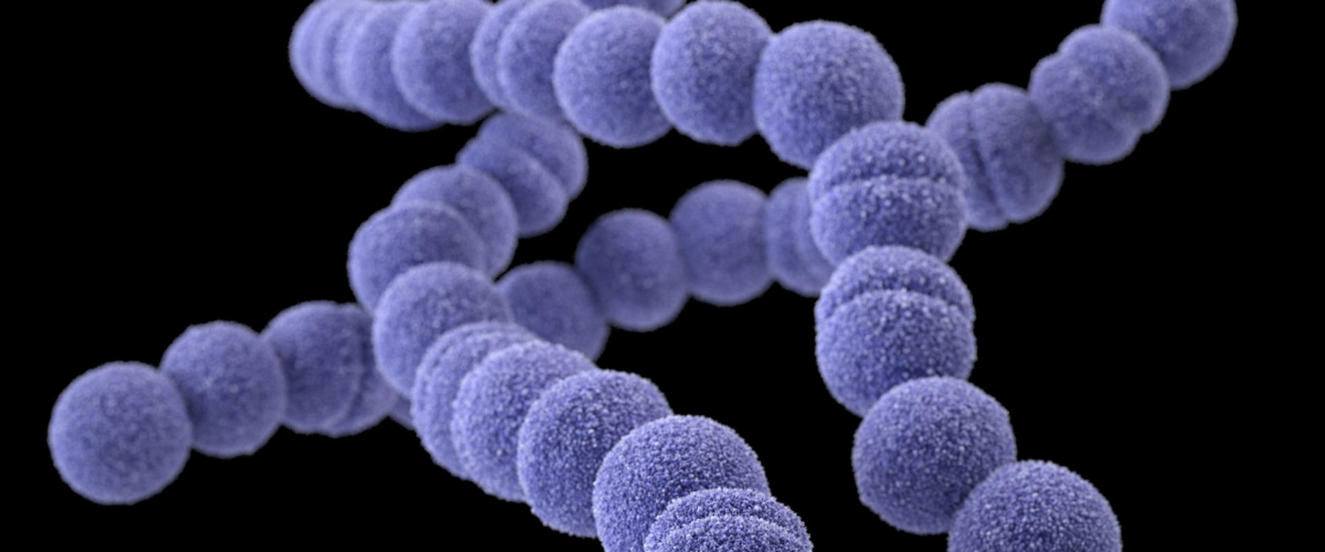 What are the three main types of disease surveillance?