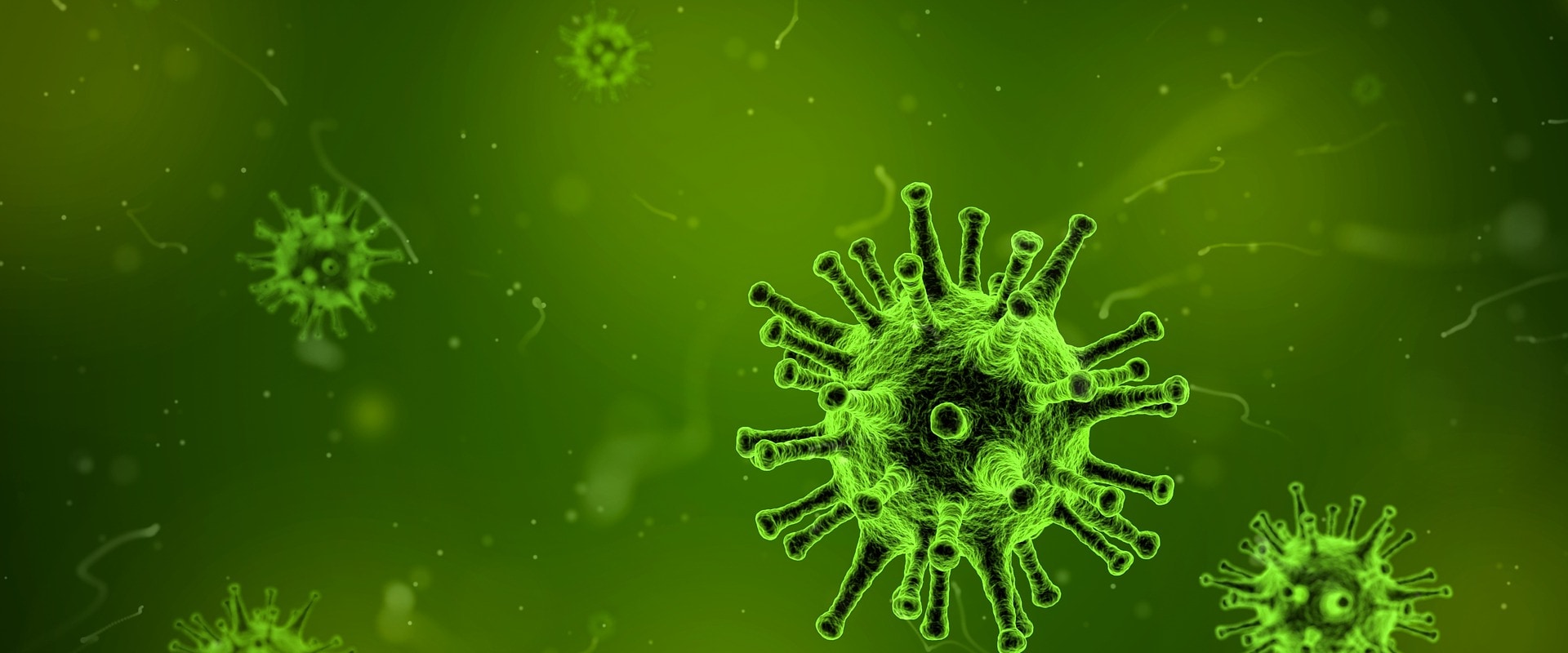 What are the two types of disease surveillance?