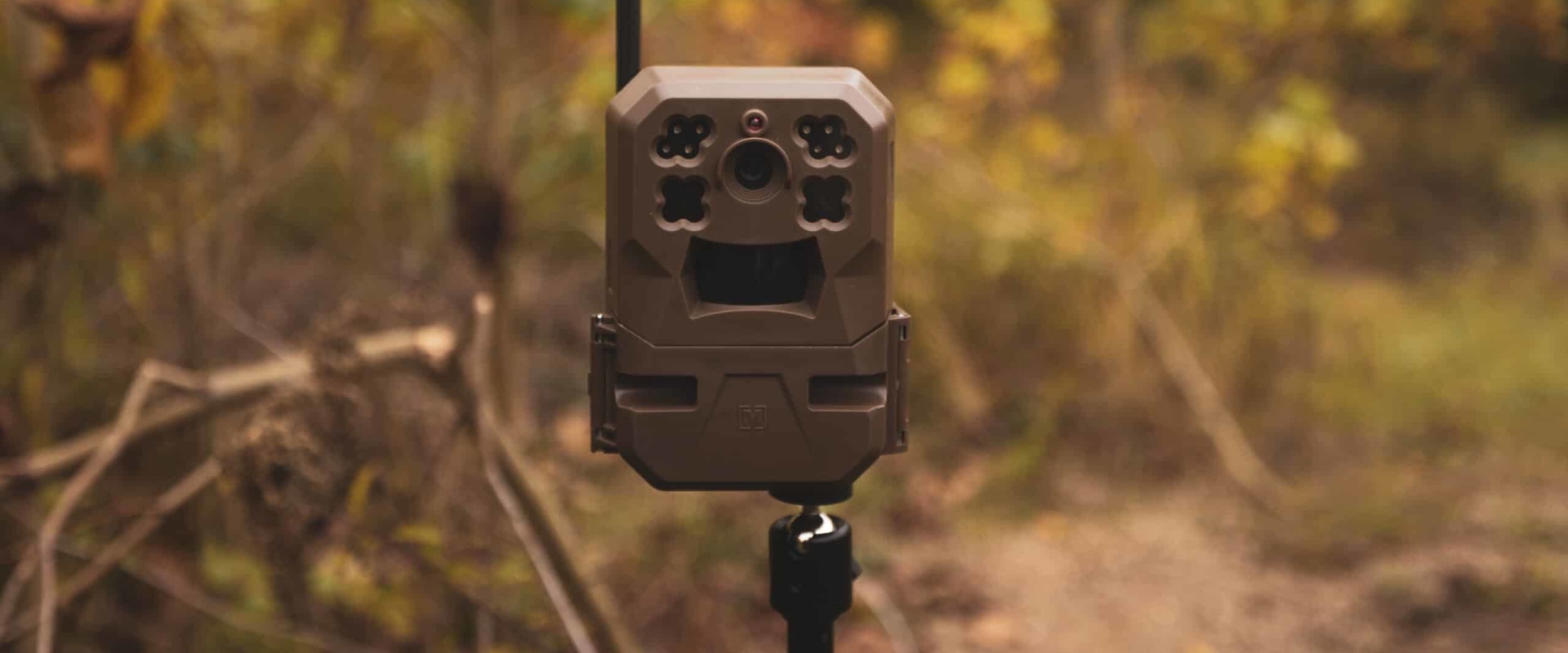 Do cellular game cameras work without cell service?
