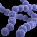 What are the three main types of disease surveillance?