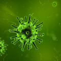 What are the two types of disease surveillance?