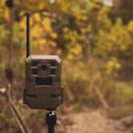 Do cellular game cameras work without cell service?