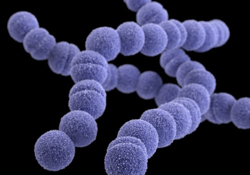 What are the three main types of disease surveillance?