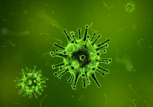 What are the two types of disease surveillance?