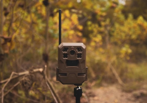 Do cellular game cameras work without cell service?